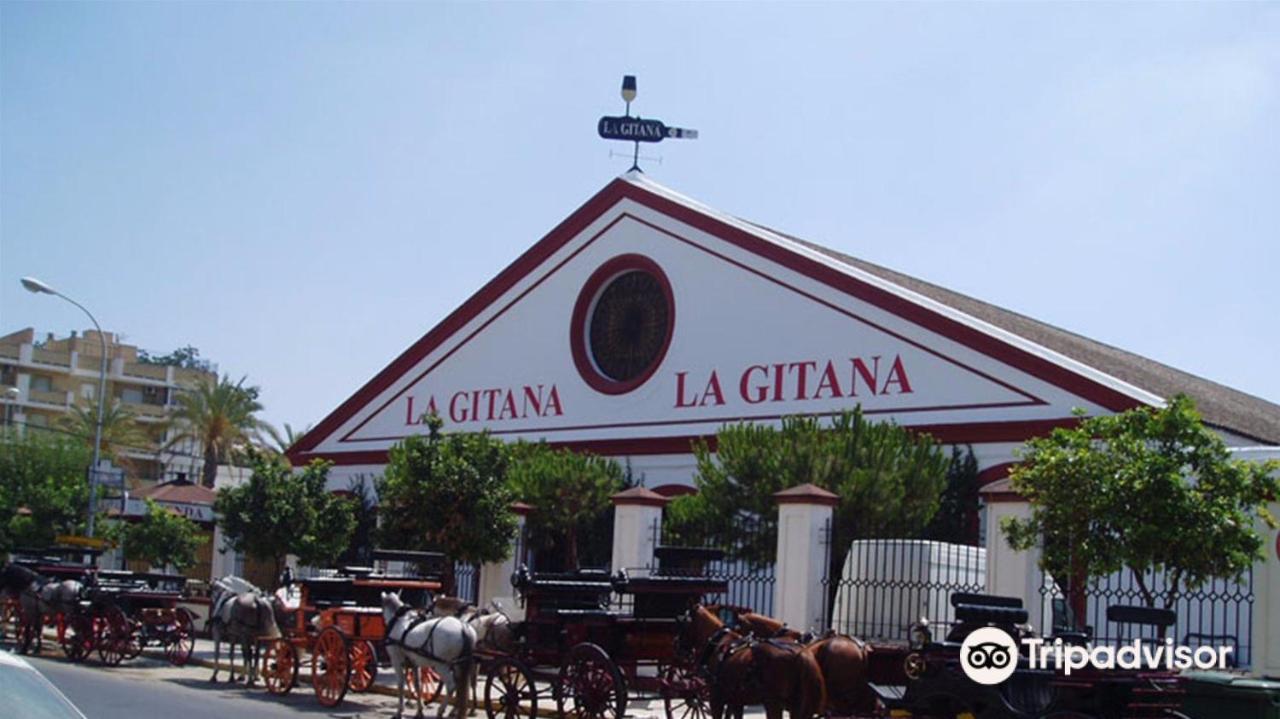 サンルーカル・デ・バラメダConvento De La Victoria Junto Al Cabildo Con Wifi Y Parking Gratisアパートメント エクステリア 写真